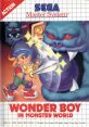 Wonder Boy in Monster World Wonder Boy V: Monster World III ワンダーボーイⅤ　モンスターワールドⅢ Dynastic Hero - Video