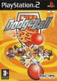 DodgeBall Simple 2000 Series Vol. 049: The Dodge Ball - World Champion Dodge Baller SIMPLE2000シリーズ Vol.49 THE