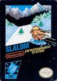 Slalom - Video Game Video game from Slalom for NES. Published by Nintendo (1987). 