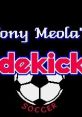 Tony Meola's Sidekicks Soccer Ramos Ruy no World Wide Soccer ラモス瑠偉のワールドワイドサッカー - Video Game Video game 