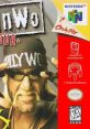 WCW VS NWO World Tour - Video Game Video game from WCW VS NWO World Tour for N64. Published by THQ (1997). 