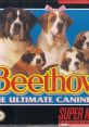 Beethoven's 2nd Beethoven: The Ultimate Canine Caper Beethoven e suas Últimas Aventuras - Video Game Video game from