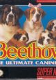 Beethoven's 2nd Beethoven: The Ultimate Canine Caper
Beethoven e suas Últimas Aventuras - Video Game Music