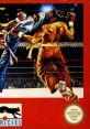 Best of the Best: Championship Karate Super Kick Boxing スーパー・キックボクシング BEST of the BEST - Video Game Video game