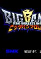 Big Bang Pro Wrestling (Neo Geo Pocket Color) ビッグバンプロレス - Video Game Video game from Big Bang Pro Wrestling (Neo G