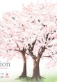 Cherry petals fall like teardrops... Arrangement Album Evolution それは舞い散る桜のように 完全版 アレンジアルバム Evolution