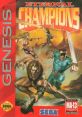 Eternal Champions エターナルチャンピオンズ 이터널 챔피언스 - Video Game Video game from Eternal Champions