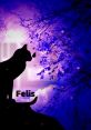 Felis - M2U - Video Game Video game from Felis / M2U for Android, iOS. Published by M2U STUDIO (2020). Uploaded by