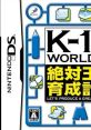 K-1 World GP: Zettai Ouja Ikusei Keikaku K-1 WORLD GP 絶対王者育成計画 - Video Game Video game from K-1 World GP: Zettai