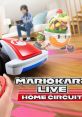 Mario Kart Live: Home Circuit マリオカート ライブ ホームサーキット - Video Game Video game from Mario Kart Live: Home