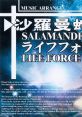 ARRANGE SALAMANDER & LIFE FORCE ARRANGE 沙羅曼蛇＆ライフフォース - Video Game Video game from ARRANGE SALAMANDER & LIFE