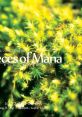 Pieces of Mana - Video Game Music
