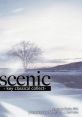 Scenic -key classical collect- - Video Game Music