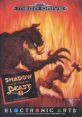 Shadow of the Beast 2 - Video Game Video game from Shadow of the Beast 2 for Genesis / Mega Drive. Published by