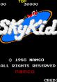 Sky Kid スカイキッド - Video Game Music