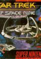 Star Trek: Deep Space Nine - Crossroads of Time - Video Game Video game from Star Trek: Deep Space Nine - Crossroads of