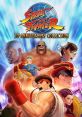 Street Fighter 30th Anniversary Street Fighter 30th Anniversary International - Video Game Video game from Street Fighter