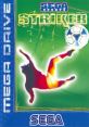 Striker World Soccer World Soccer 94: Road to Glory Eric Cantona Football Challenge - Video Game Video game from Striker