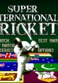 Super International Cricket - Video Game Video game from Super International Cricket for SNES. Published by Nintendo