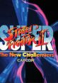 SUPER STREET FIGHTER II スーパーストリートファイターII アーケード ゲームトラック
Super Street Fighter II Arcade Gametrack - Video Game Music