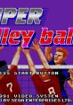 Super Volleyball スーパーバレーボール - Video Game Video game from Super Volleyball スーパーバレーボール for Genesis / Mega