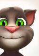 Talking Tom Cat talking tom cat - Video Game Video game from Talking Tom Cat talking tom cat for Android, iOS, Mobile.