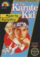 The Karate Kid - Video Game Video game from The Karate Kid for NES. Published by LJN (1987).