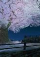 Toram Online Hanami Event RPG Toram Online - MMORPG - Video Game Video game from Toram Online Hanami Event RPG Toram Online