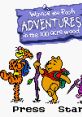 Winnie the Pooh: Adventures in the 100 Acre Wood (GBC) Disney's Winnie the Pooh: Adventures in the 100 Acre Wood