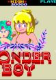 Wonder Boy Revenge of Drancon ワンダーボーイ - Video Game Video game from Wonder Boy Revenge of Drancon ワンダーボーイ