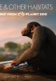 You, Me & Other Habitats: More from Planet Zoo (Original Game track) - Video Game Video game from You, Me & Other