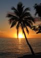 Carribean The of waves crashing against the shore, the call of seagulls overhead, and the distant hum of a ship's engine in