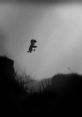 Limbo リンボ - Video Game Video game from Limbo リンボ for Android, iOS, Linux, MacOS, PS Vita, PS3, PS4, Switch,