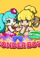 Wonder Boy Returns Wonder Boy Returns Remix ワンダーボーイ リターンズ リミックス 원더보이 리턴즈 - Video Game Video game 