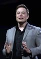 Elon Musk delivers a keynote speech, showcasing his visionary ideas and leadership in technology and innovation.