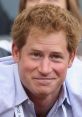 Prince Harry Type your text to hear it in the voice of the Prince Harry .