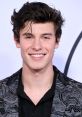 Shawn Mendes smiles broadly, showcasing his stylish outfit at a red carpet event, radiating charisma and charm.