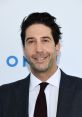 David Schwimmer Type your text and hear it in the voice of David Schwimmer .