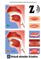 Fricatives Fricatives are a class of speech that are characterized by the friction or turbulent airflow caused by partial