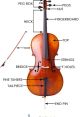 Cello The of the cello - A#3 with bad dynamics resonates through the air, filling the room with its melancholic tone. The