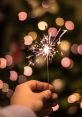 Sparkler The night air was filled with the crackling of a Sparkler fizzing and hissing as it lit up the darkness. The sharp