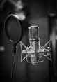 Microphone You can hear the raw energy of a Moving Mic as it darts back and forth, capturing every in its path. The