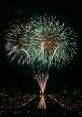 Firework These capture the essence of fireworks in all their explosive glory. From the booming explosions to the