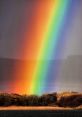 Rainbow Stand Off The distinctive of a rainbow lorikeet fills the air, a melodic tweet that echoes through the trees.