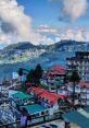 Darjeeling In the quiet early morning hours in the mountains of Darjeeling, the forest comes alive with the melodious