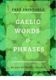 Gaelic The echo of cheers reverberates through the stadium, a sea of green and gold clad fans erupting in excitement as