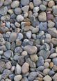 Pebble The gentle clinking of Pebble on Pebble echoed in the quiet of the rocky beach, a soothing symphony of nature's own