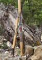 Digeridoo The captivating of the didgeridoo echoed through the forest, a deep and mesmerizing tone that seemed to vibrate