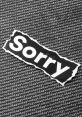 Sorry "I'm Sorry! #sorry #heres the details #kid." The of sincere regret and remorse filled the air as the words fell