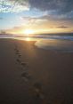 Footprints The first that catches my attention is the of "Footsteps with Crocs." The rhythmic thumping of rubber soles